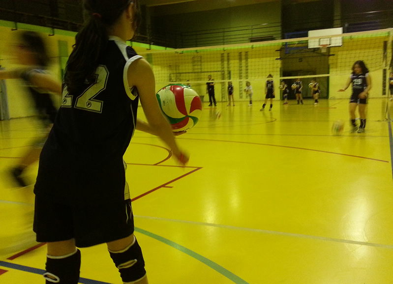 ASDO Agorà Volley Carate Brianza ASDO Agorà settore pallavolo