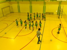Prima fascia volley